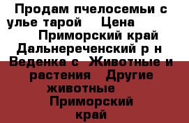 Продам пчелосемьи с улье тарой. › Цена ­ 100 000 - Приморский край, Дальнереченский р-н, Веденка с. Животные и растения » Другие животные   . Приморский край